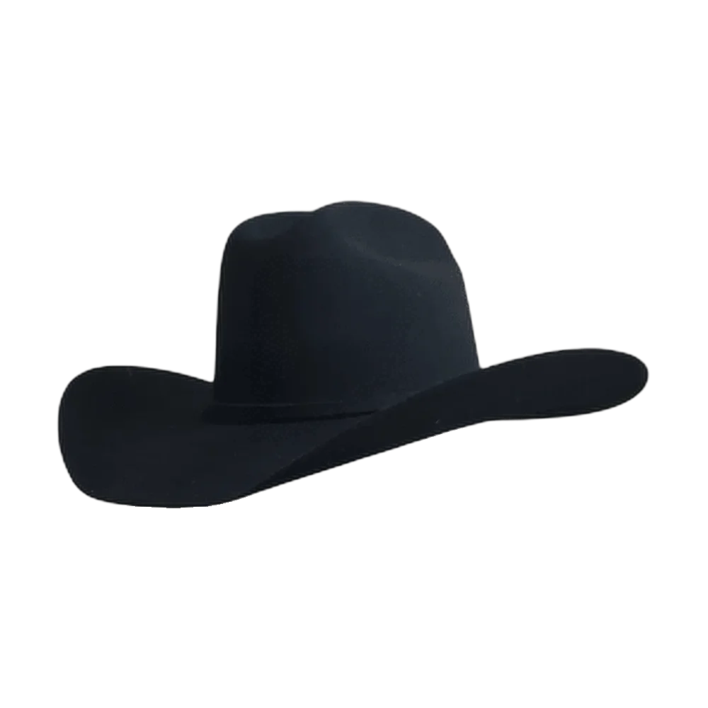 Yellowstone Black Gone Country Hats