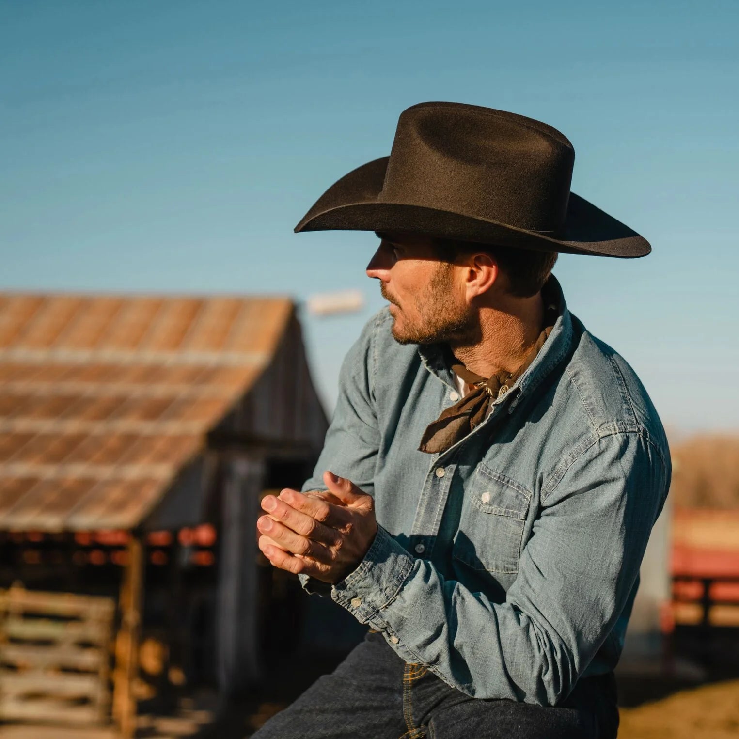 Stetson Corral Buffalo 4X Chocolate