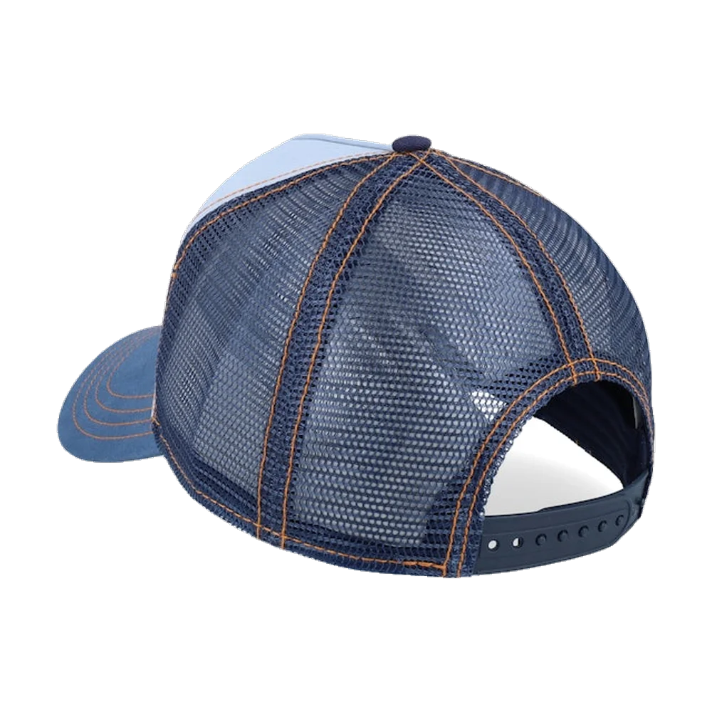 Trucker Keps Bear Stetson