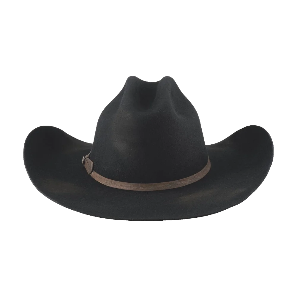 Kayce Western Hatt 4X