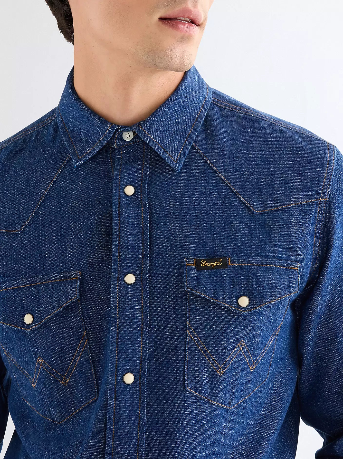 Regular Western Shirt Caroline Creek