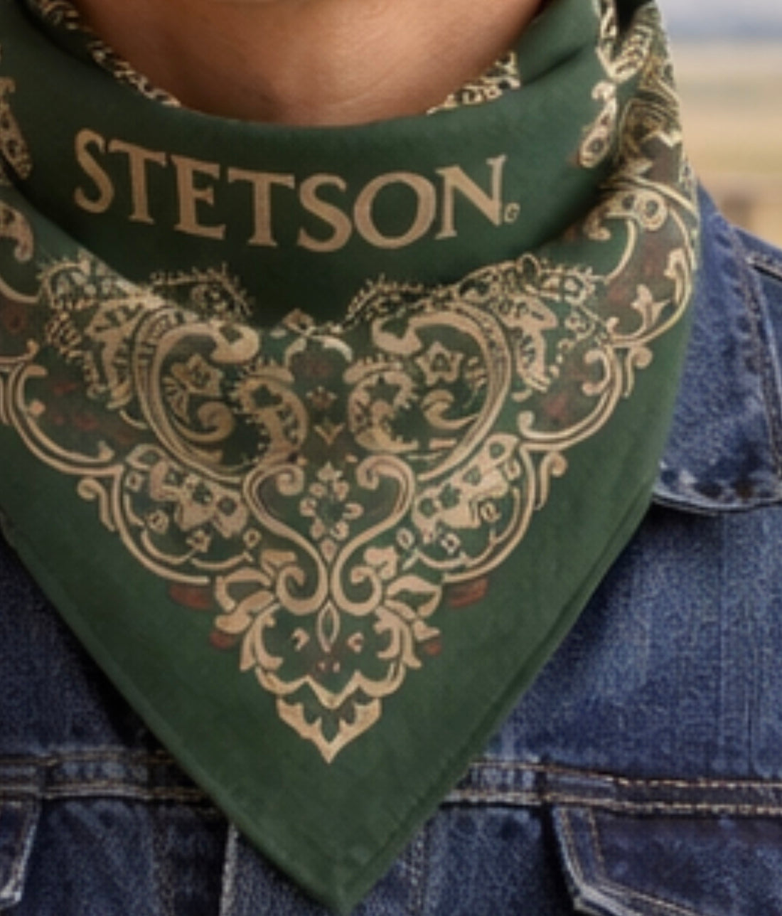 Stetson Bandana Forrest