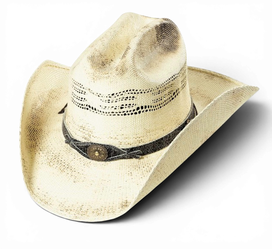 Stars and Stripes Snake Stråhatt med Snakeband
