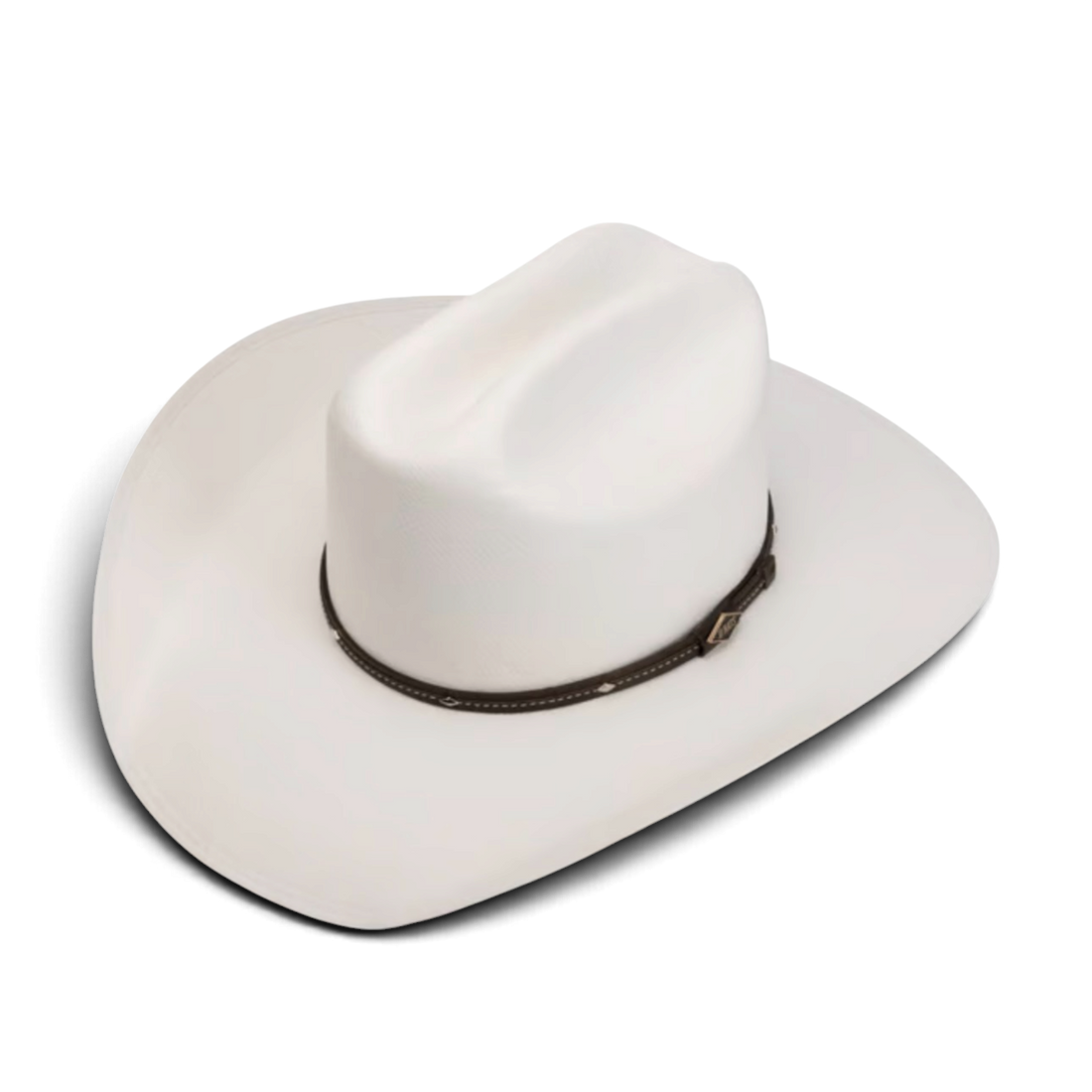Stetson Western Toyo westernhatt i toyo-strå, vy från sidan