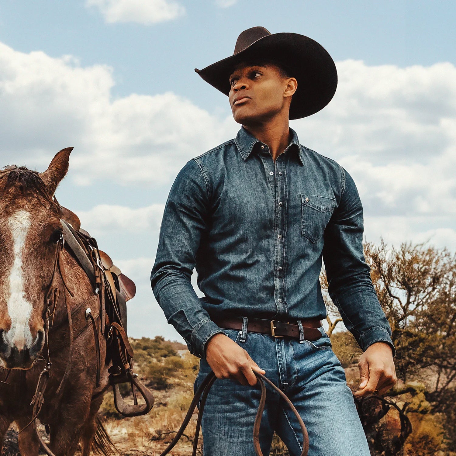 Stetson Corral Buffalo 4X Chocolate