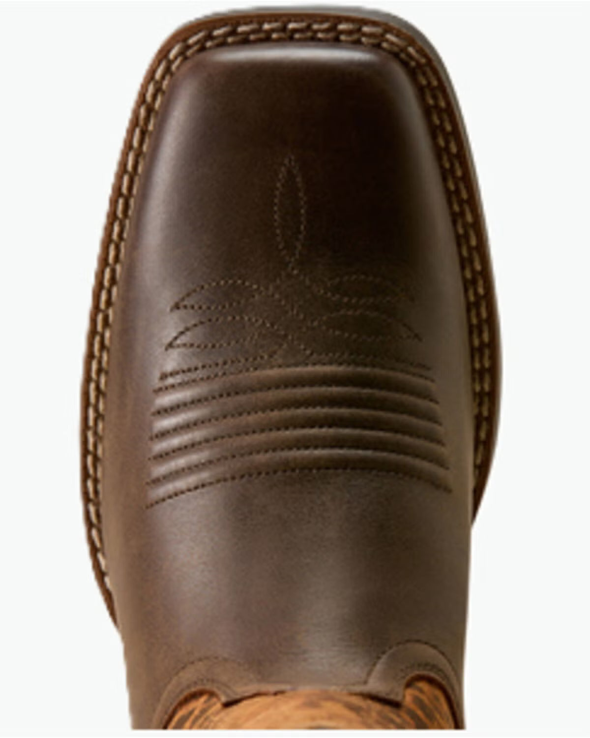 Ariat Round Up Ryder Dark Cacao/ Distressed Leopard
