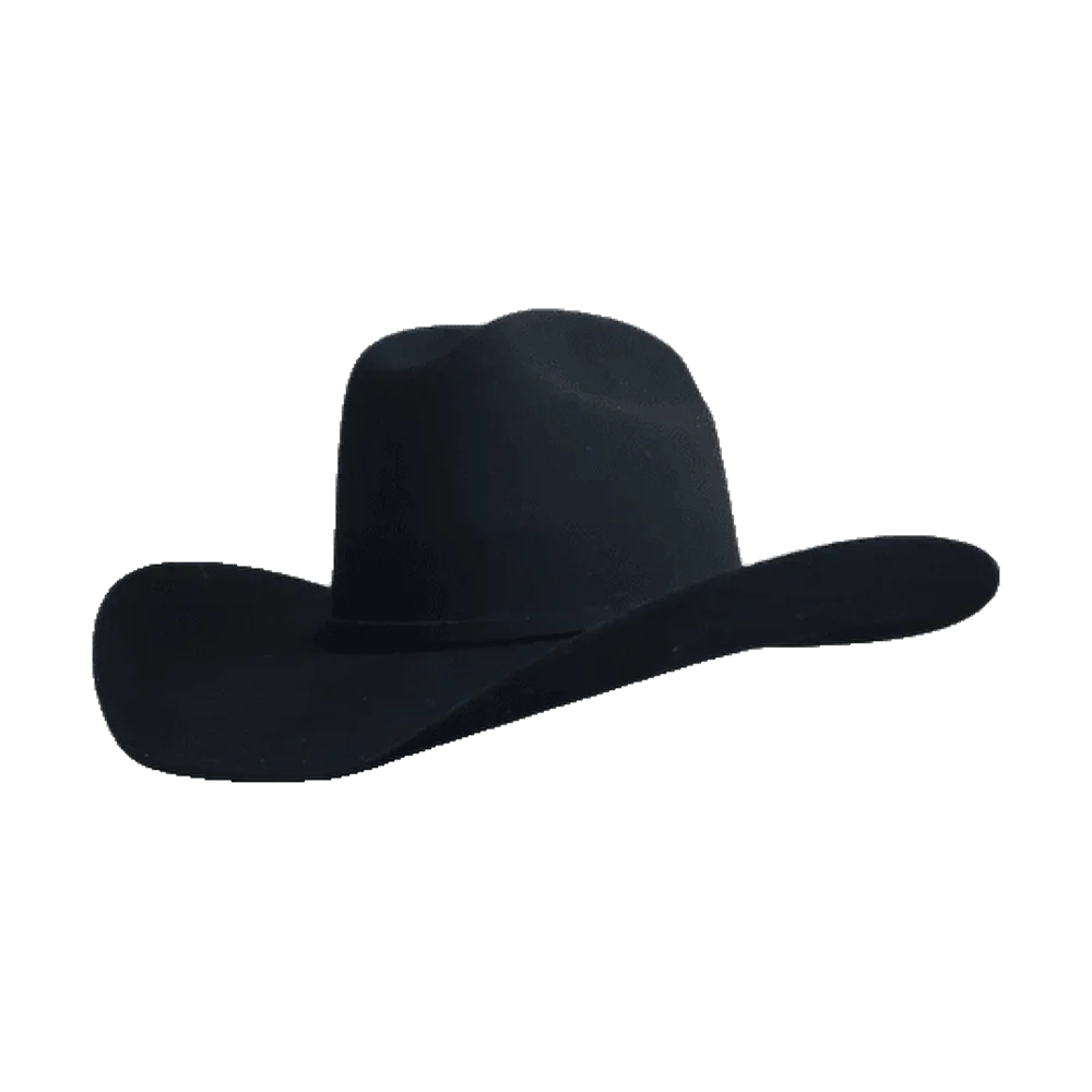 Yellowstone Black Gone Country Hats
