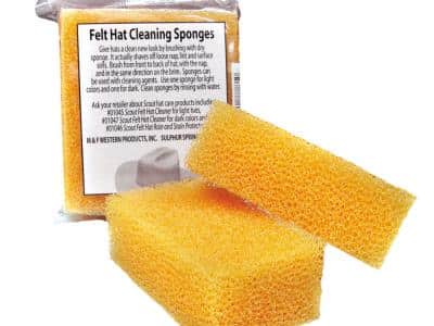 Rengöringssvamp Filthatt
