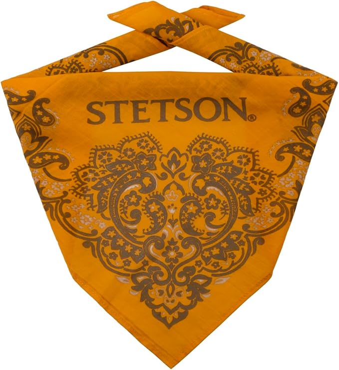 Stetson Bandana Sunset