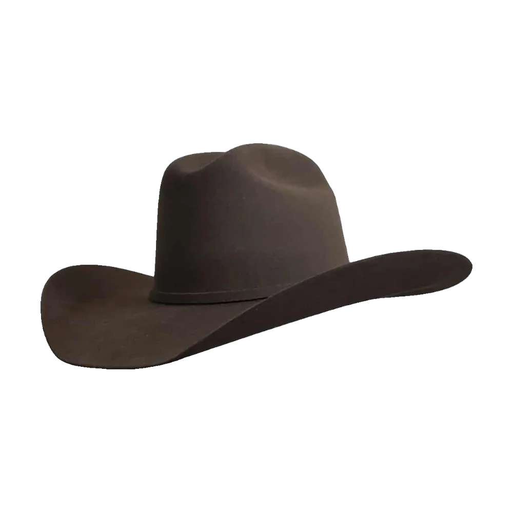 Yellowstone Brown Gone Country Hats