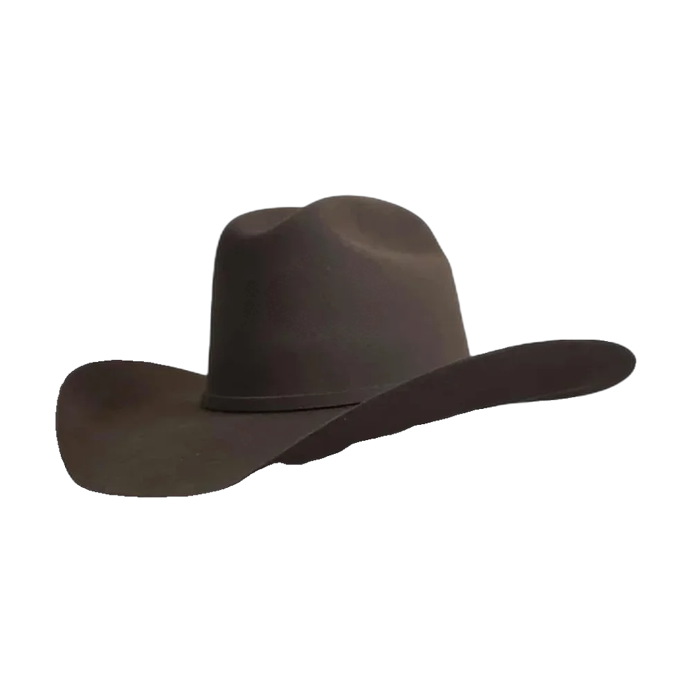 Yellowstone Brown Gone Country Hats