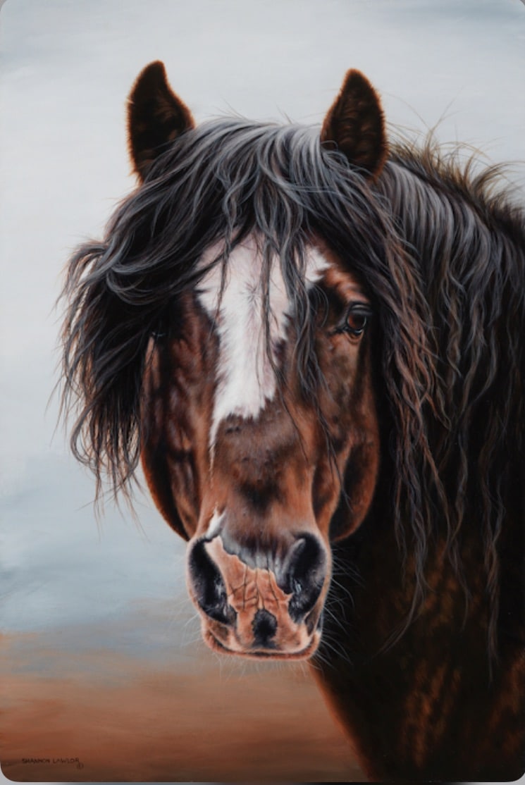 Old Violin Equine Art by Shannon Lawlor
