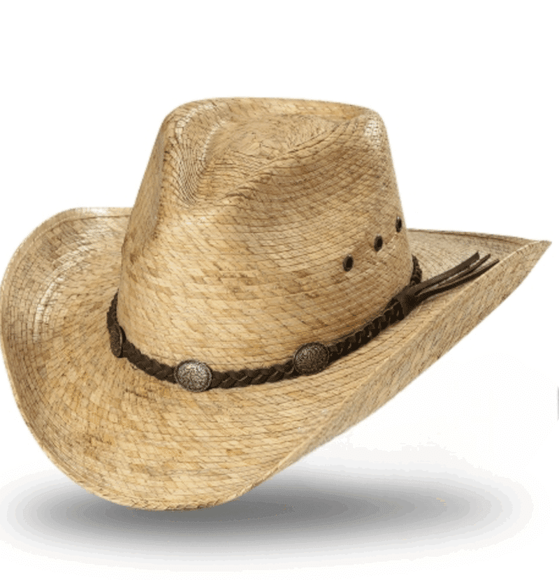 Aiden Palm Western Hatt