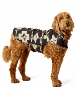 Team Softshell Dog Jacket Ariat