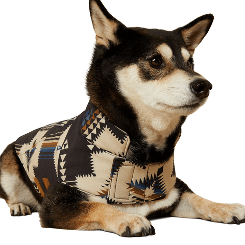 Team Softshell Dog Jacket Ariat - Bild 6
